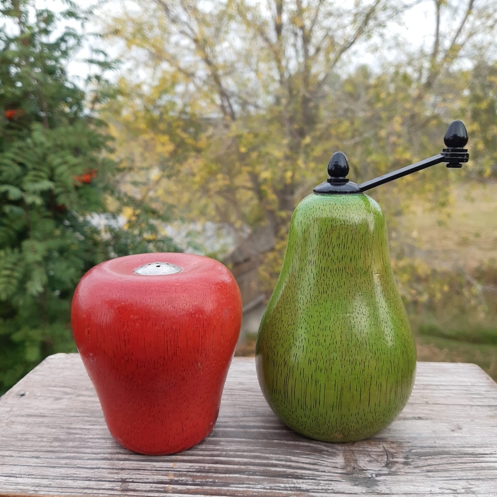 Red Apple and Green Pear Wooden Salt & Pepper Set